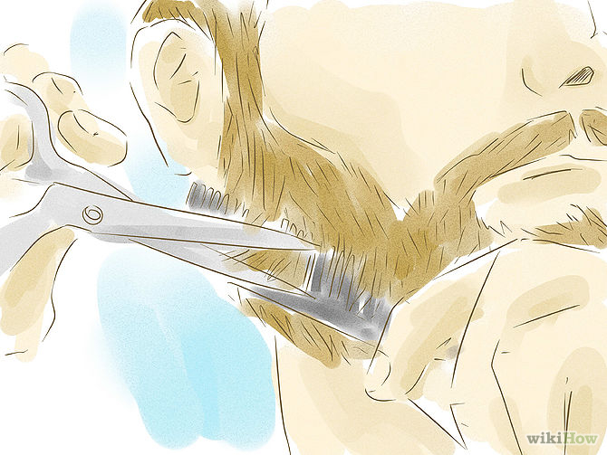 стрижка бороды ножницами